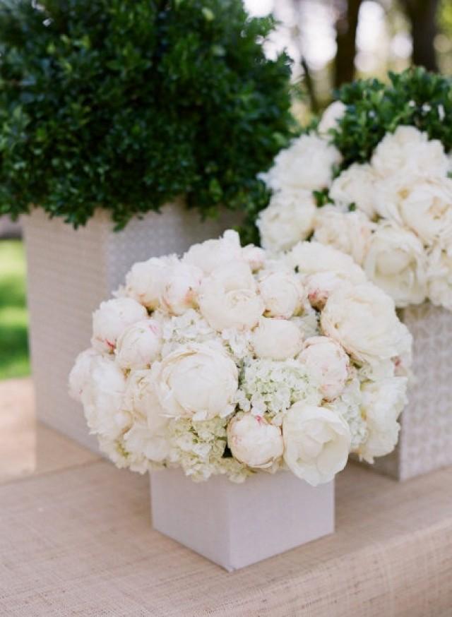 Bouquet/Flower Hydrangea And White Peonies 2043196 Weddbook