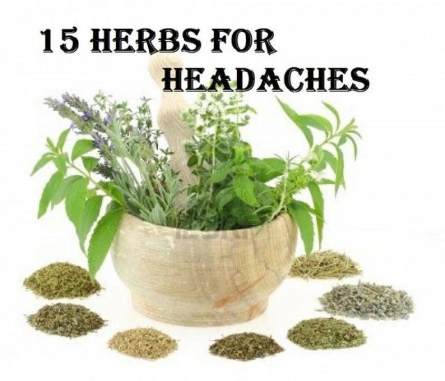 What Herbs Helps With Headaches