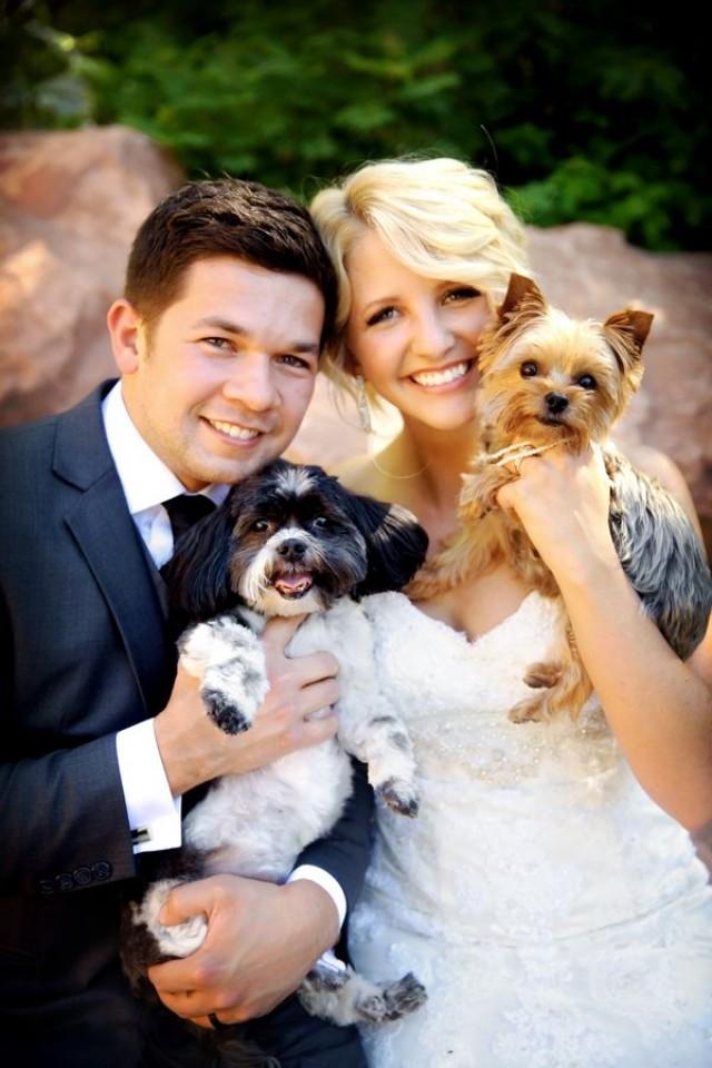 Pets - (Dogs At Weddings) #2076914 - Weddbook
