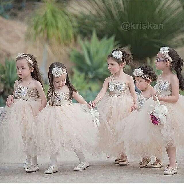 Ring Bearers Flower Girls And Ring Bearers 2113462 Weddbook