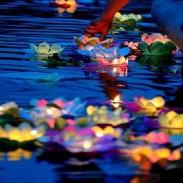 lotus floating lanterns