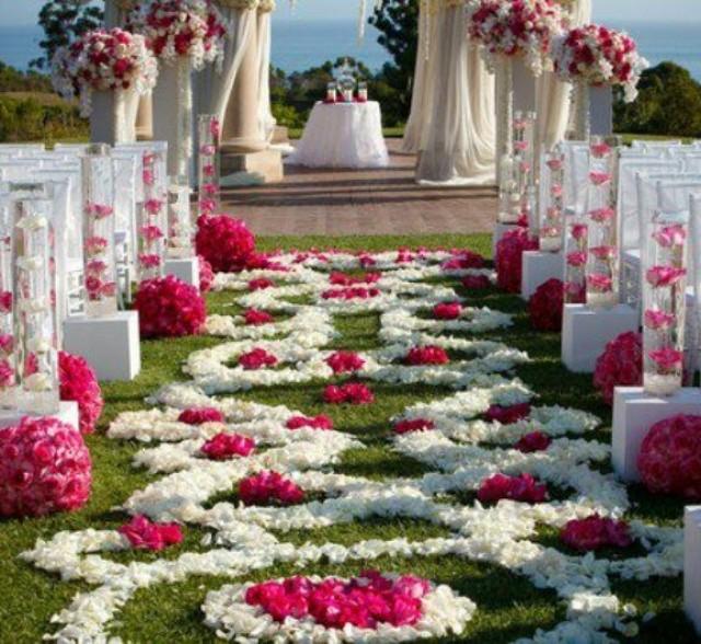 Fuchsia Wedding Jwed 2206687 Weddbook