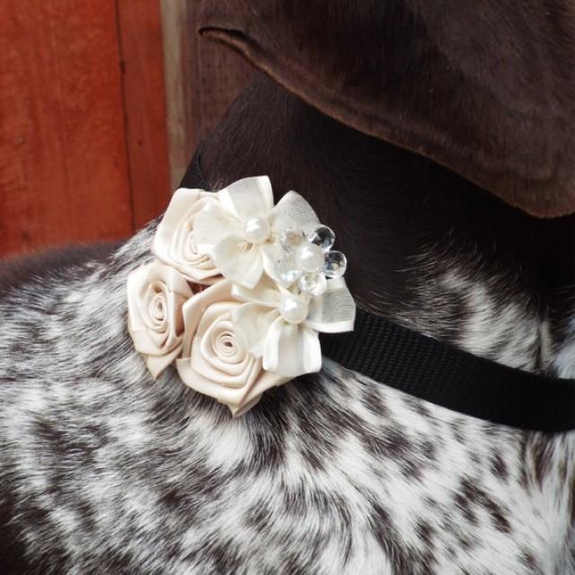 Wedding Ivory Fabric Flower Dog Collar Accessory For Cats And Dogs