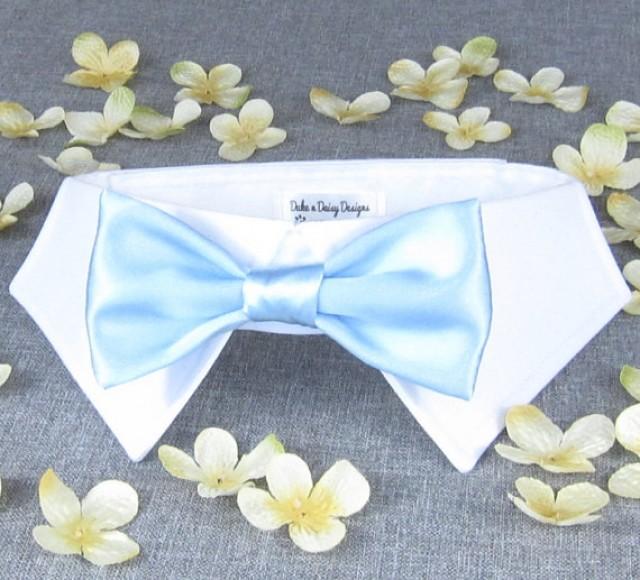 blue dog bow tie