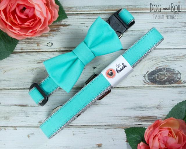 Dog Bow Tie In Tiffany Blue With Options For Dog Collar, Dog Leash I
