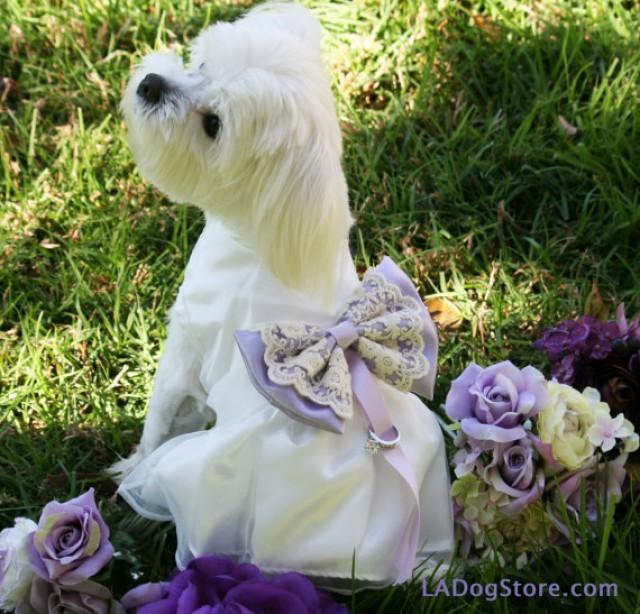 Lilac Wedding Dog Dress, Dog Ring Bearer, Lilac Pet Wedding Accessory