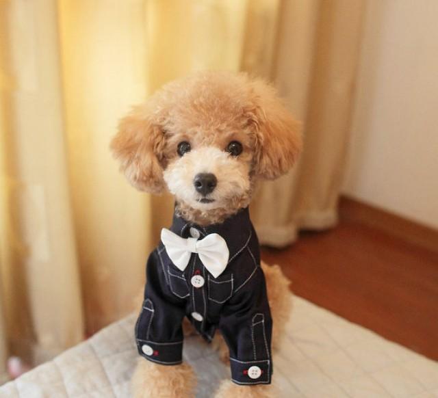 Free Shipping,Teddy Pomeranian Dog Clothes, Prince Pet Dog Shirt