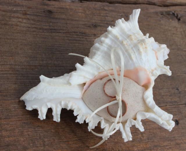 Ring Bearer Pillow, Beach Wedding, Sea Shell, Organic, Ocean, Nautical