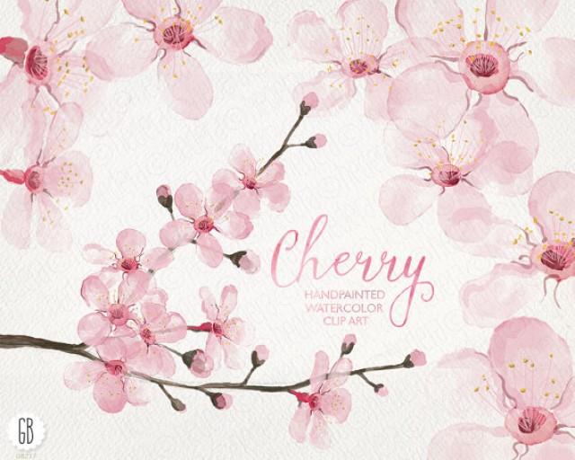 Watercolor Cherry Blossom Cherry Tree Sakura Hand Painted