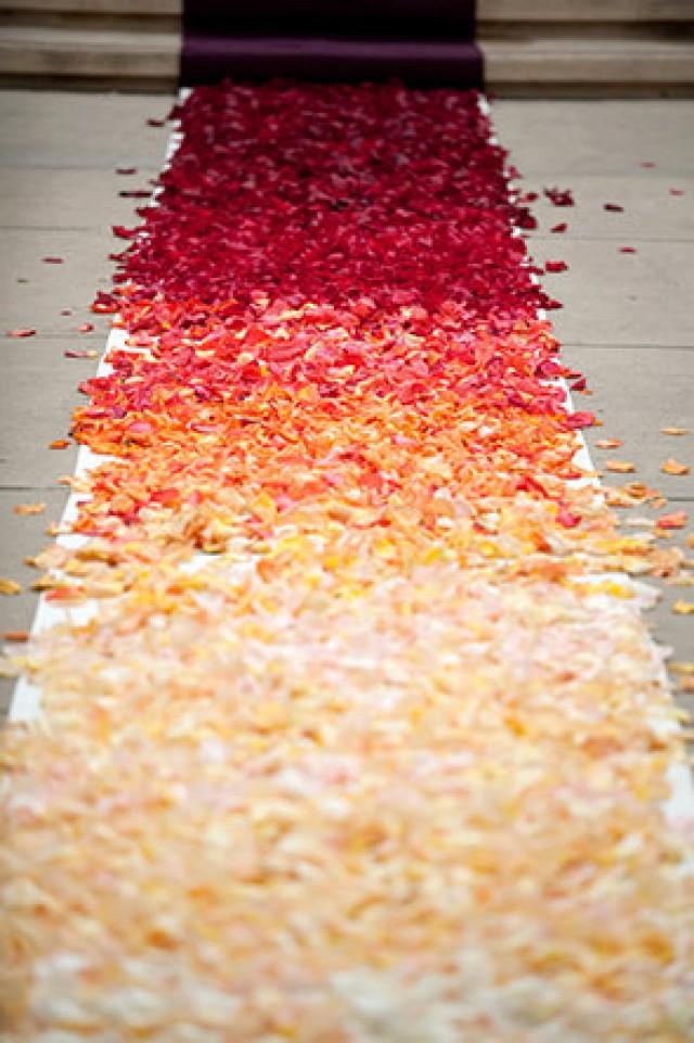 1,000 Petals Choose Color BULK Silk Rose Petals Faux Fabric Rose Petals Loose White Rose Petals