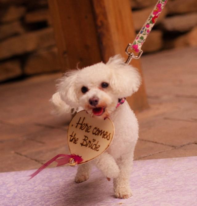 Dog Ring Bearer Here Comes The Bride Wood Heart Ring Holder Pillow Pet