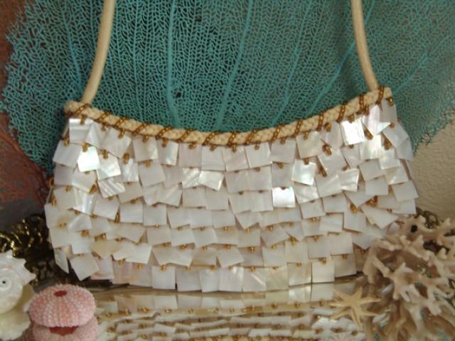mother of pearl clutch purse
