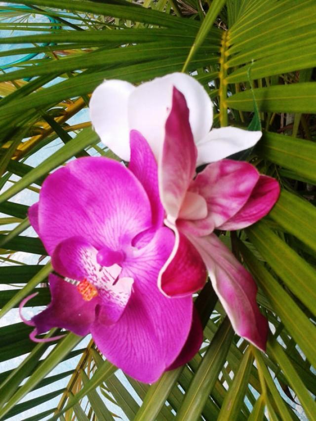 Tropical Flower Clip Hawaiian Orchids Maui Pink Purple Plumeria Hair Clip Beach Bride Fascinator Headpiece Wedding Hair Accessory 2263437 Weddbook
