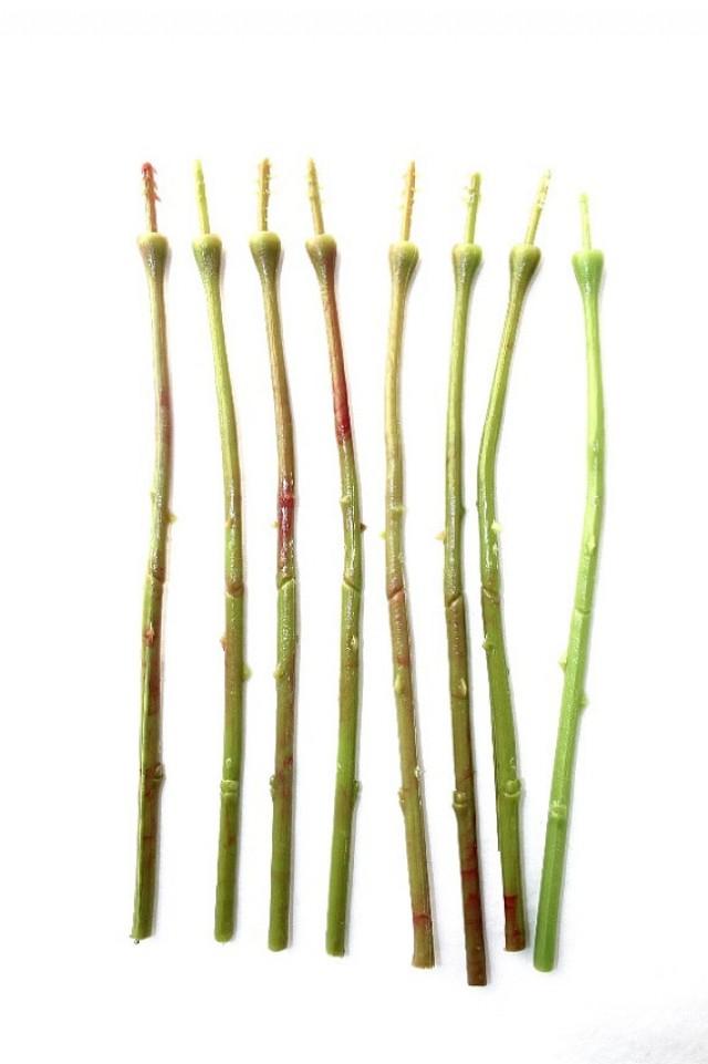 8 Realistic Floral Stems Perfect For Bouquets...8.5 Inches Item