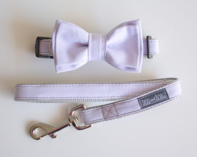 light purple dog collar