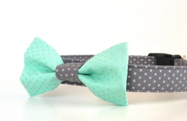 mint green dog collar