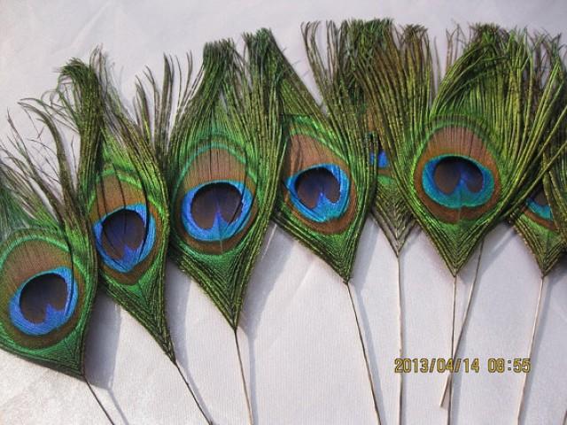 50pcs Lot 8 10 L Peacock Eye Feathers For Wedding Invitation