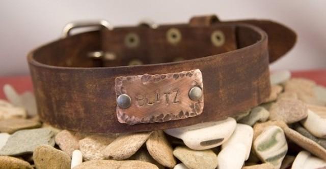 rustic leather dog collar