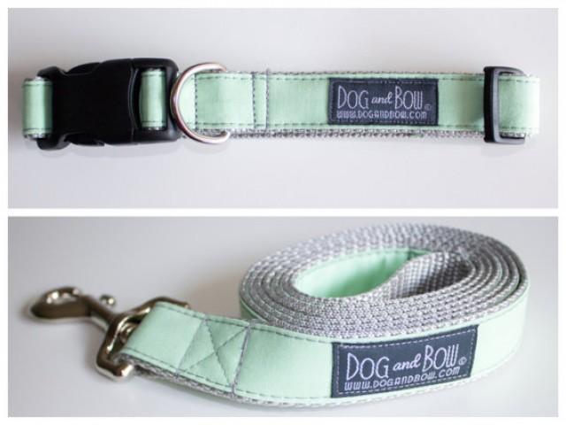 mint green dog collar