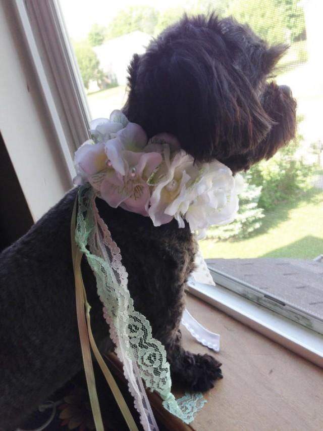 WEDDING FLOWER COLLAR Pale Green Flower Fancy Dog Collar,Pet Wedding