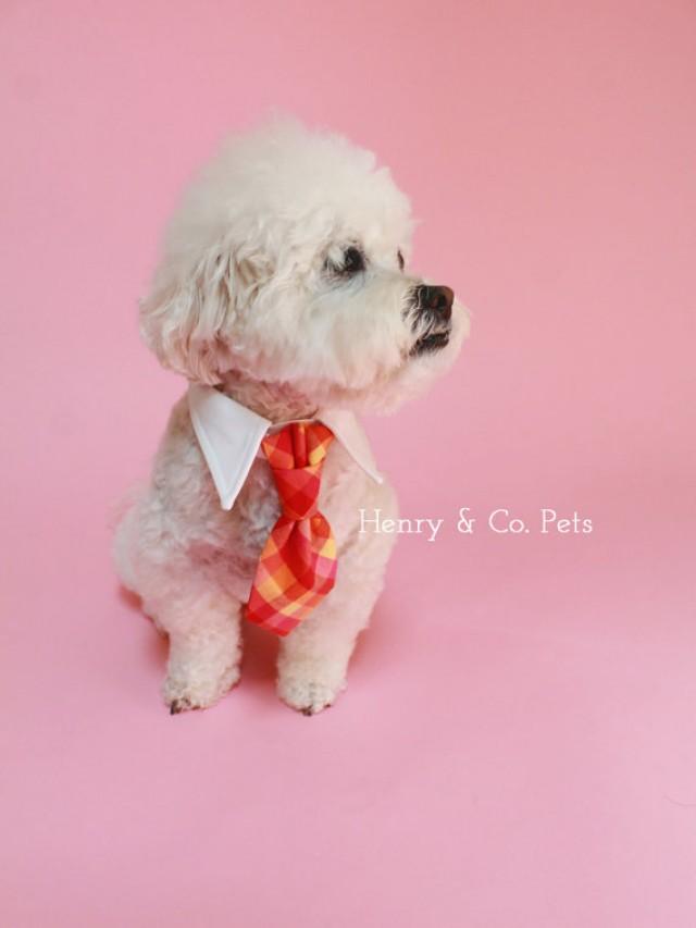 Dog Tie And Shirt Collar Checkered Tie Gingham Tie Wedding Dog