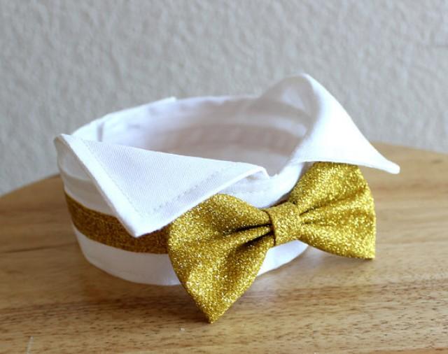 white dog bow tie