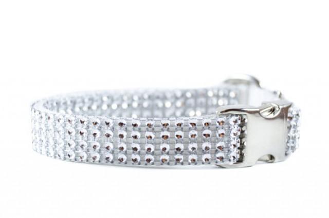 bling dog collars for small dogs