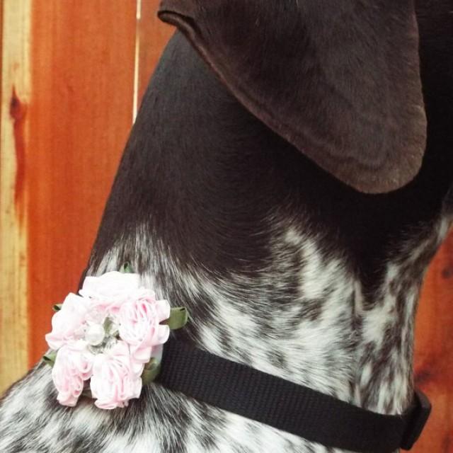 Valentines Pink Carnations Fabric Flower Dog Collar Accessory For Cats