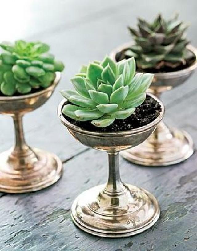 22 Table Decorations And Centerpiece Ideas With Succulents