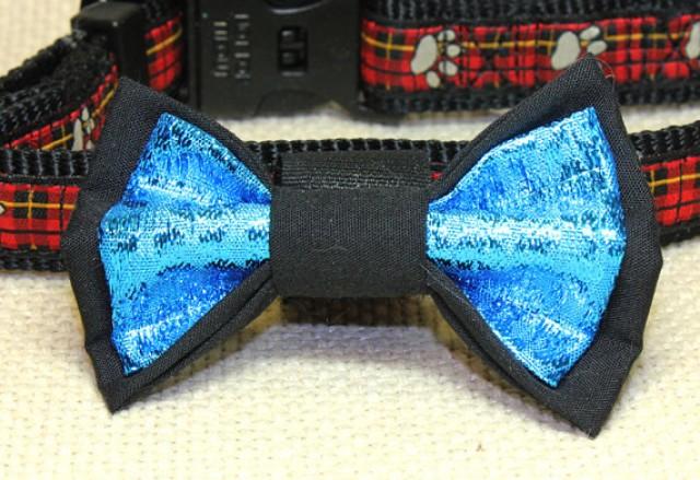 velcro dog bows