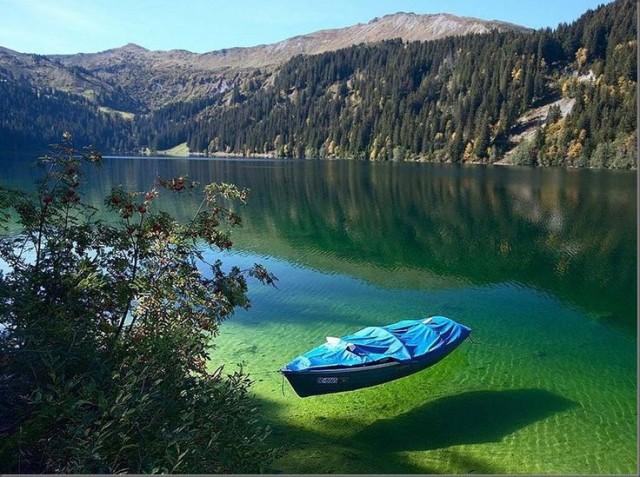 The Clearest Lake In The World Found In Nelson New Zealand 2394441