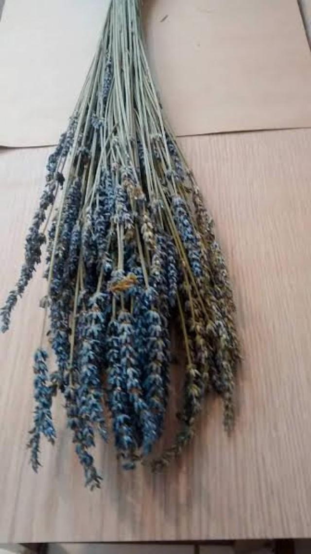 Premium Dried French Lavendar Bunches 18"22" Long Lavender, Dried