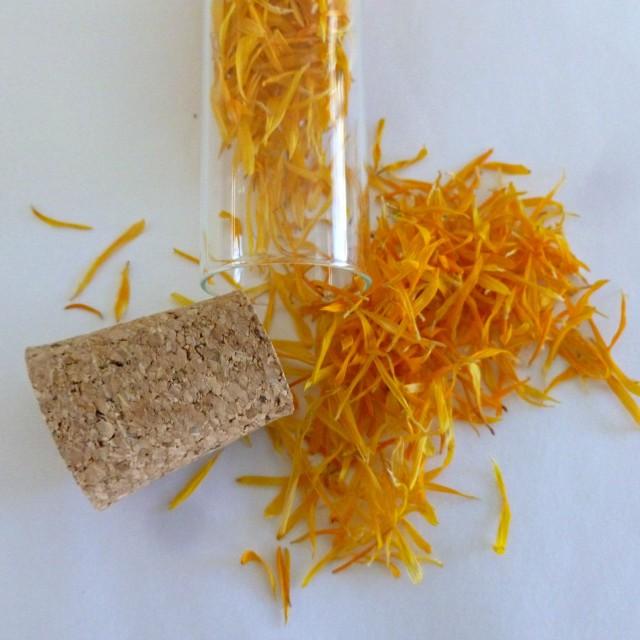 Calendula, Flower Petal, Dried Flowers, Poor Mans Saffron, Yellow, Orange, Fall, Autumn, Dry