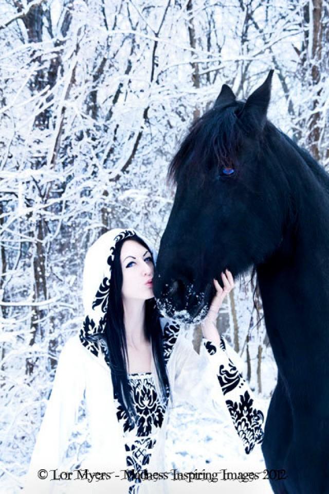 Medieval Dress Renaissance Dress Vampire Dress Hooded Gown