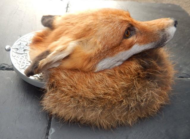 fox head sporran