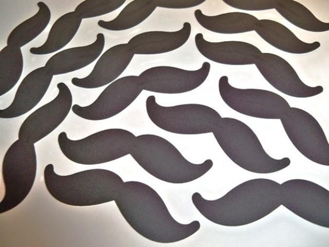 stash or stache stash or stache