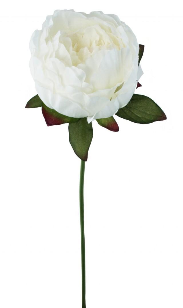 Ivory Peony Stem Silk Peony Ivory Wedding Flowers 2456492 Weddbook