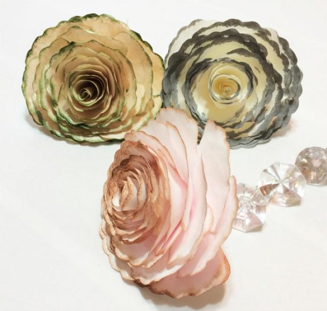 Cabbage Rose, Antique Colored Cabbage Roses, Coffee Filter Roses
