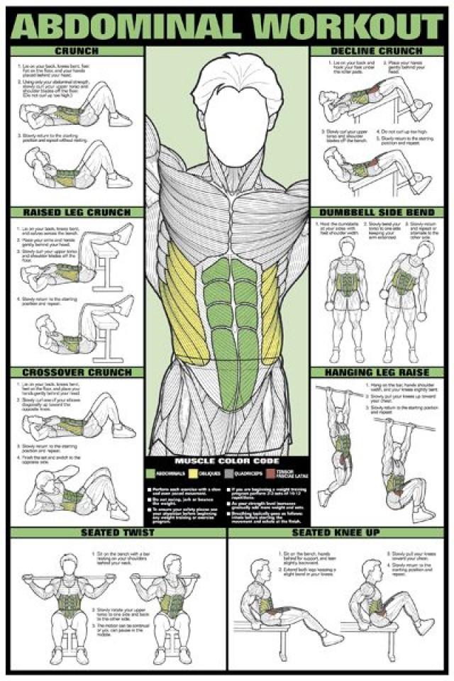 ABDOMINAL WORKOUT WALL CHART Professional Fitness Training Gym Poster