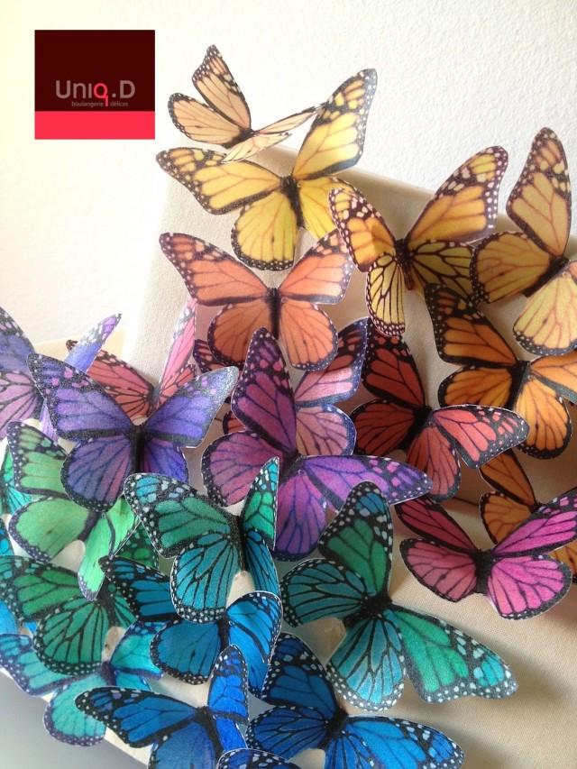 BUY 95 Get 14 FREE Edible Butterflies Rainbow Monarch Butterflies Edible Decoration