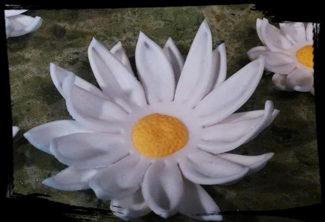 Edible Daisy Gum Paste Fondant Flowers Sugar Flowers Cake Or