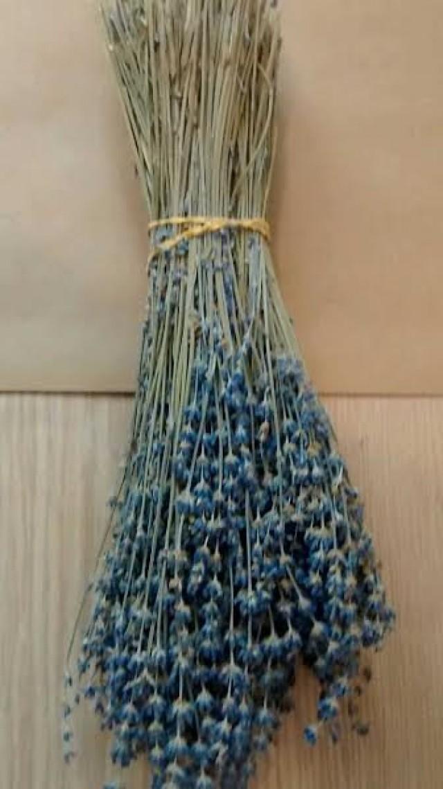 Premium Dried English Lavendar Bunches 12"16" Long Lavender, Dried