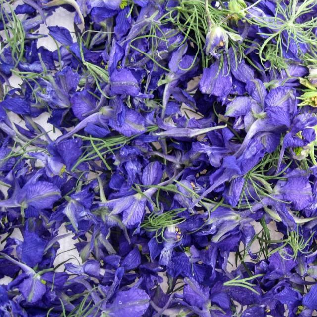 Blue Larkspur, Dried Flower, Confetti Flowers, Petals, Flower Girl