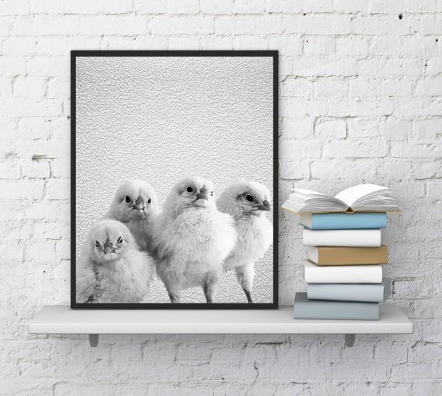 Chickens Print, Chicken Wall Decor, Farm Animal Print, Funny Chickens