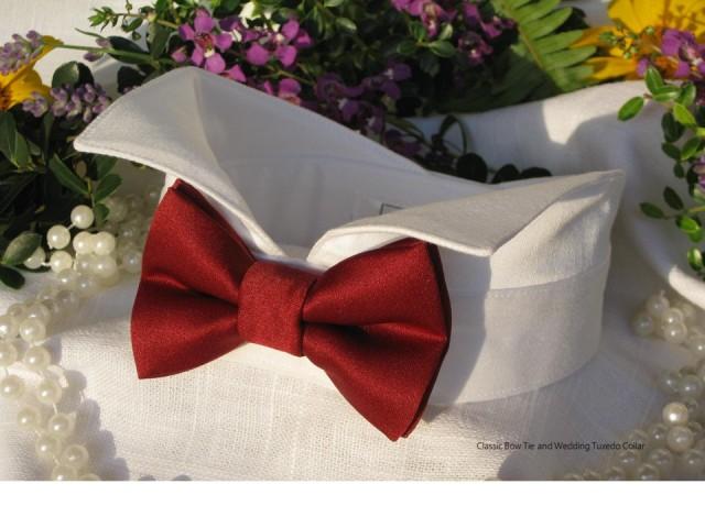 burgundy dog bow tie