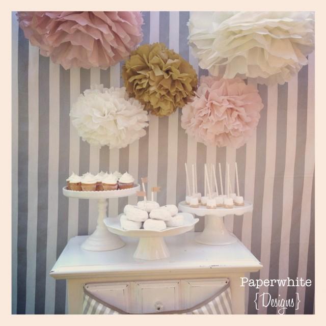 Tissue Paper Pom Poms Baby Shower Decorations Girl Baby Shower