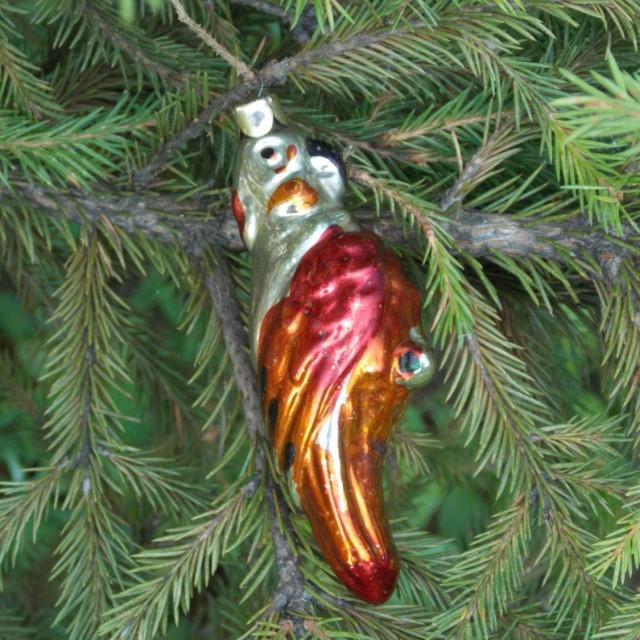 Orange Parrot Vintage Christmas Ornaments Figural Bulbs Blown