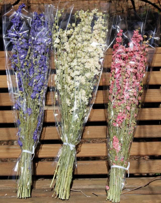 Double Bloom Larkspur Dried StemsBluePinkpurple Or White Preserved