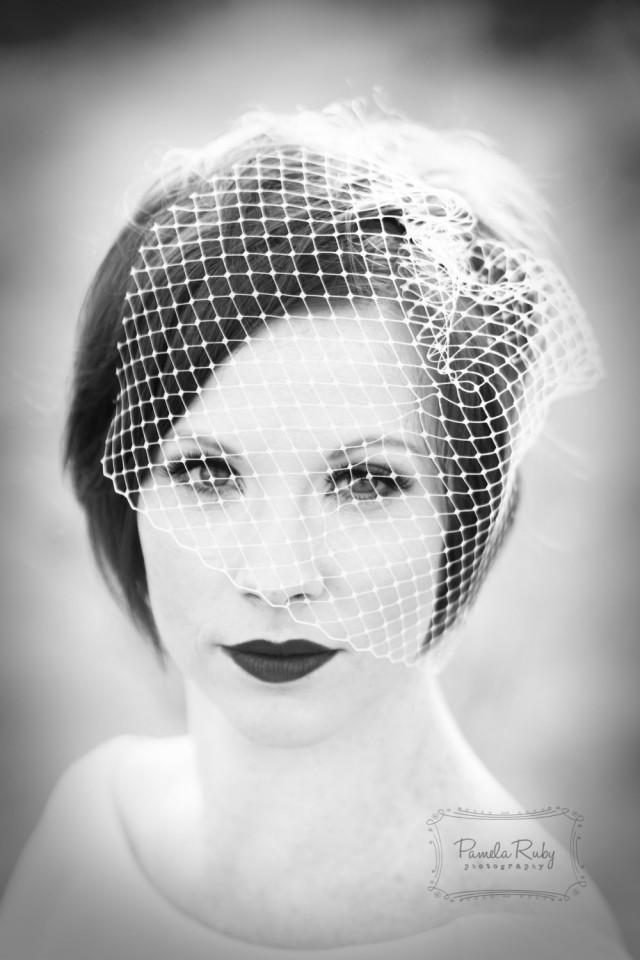 Birdcage Veil, Bridal Birdcage, White Ivory Birdcage Veil, Veil