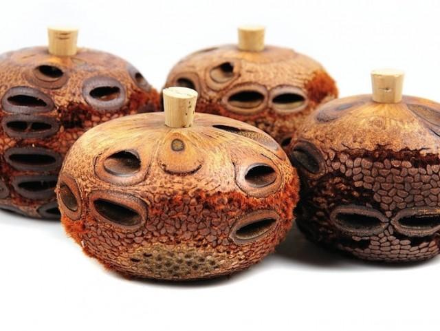Set Of 4 Natural Oil Diffuser Scent Pot Made Of Banksia Seeds